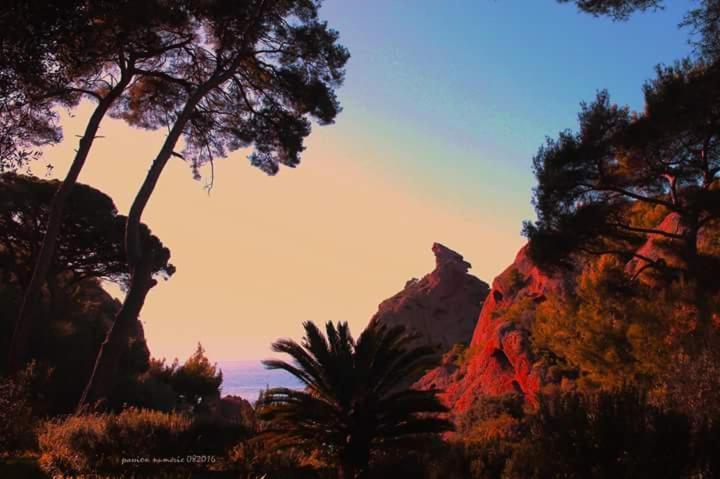 Le Cytharis Apartment La Ciotat Exterior photo